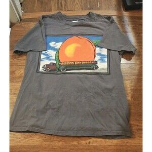 VTG 90s 1995 Allman Brothers Eat A Peach Band T Shirt Adult Size Large Gray